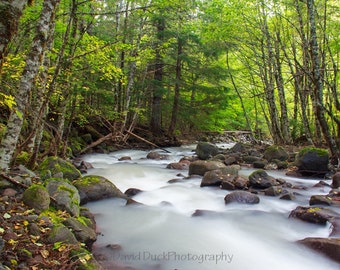 McGee Creek Wall Art Print Printable Mountain Stream Photograph Housewarming Gift Instant download enables you to print for personal use.