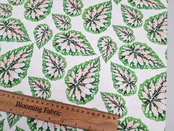 Plant fabric, cotton fabric, modern botanicals, fabric craft and clothing, quilting fabric Yard/meter