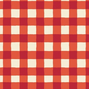 Op de afbeelding: Een rood-wit geruit patroon. Het patroon bestaat uit afwisselende rode en witte vierkanten.