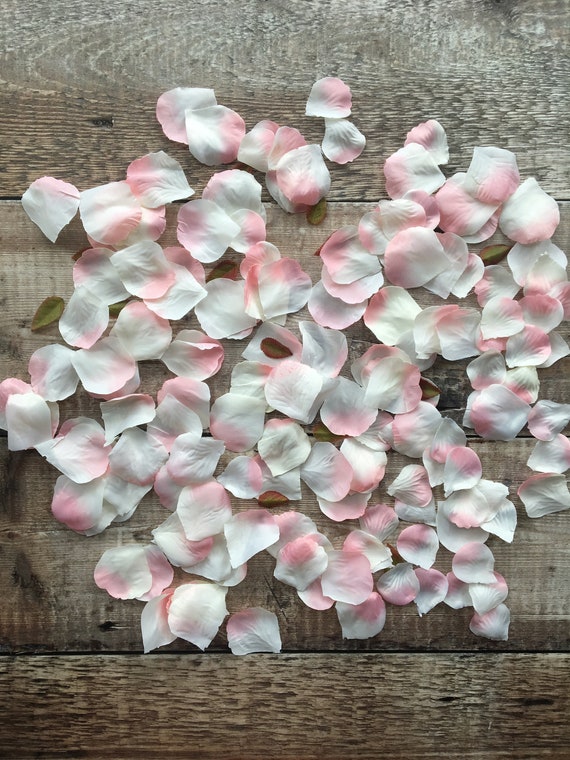 Blush Pink Silk Rose Petals Rose Wedding Confetti Flat Lay Etsy