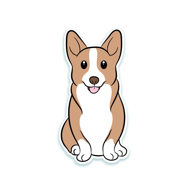 corgi hund kaufen