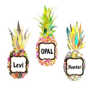 Pineapple School Name Tags
