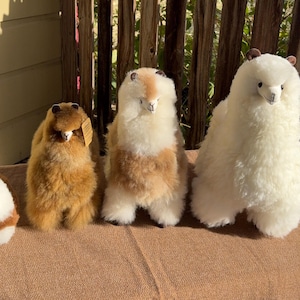 Stuffed Alpaca with Fur