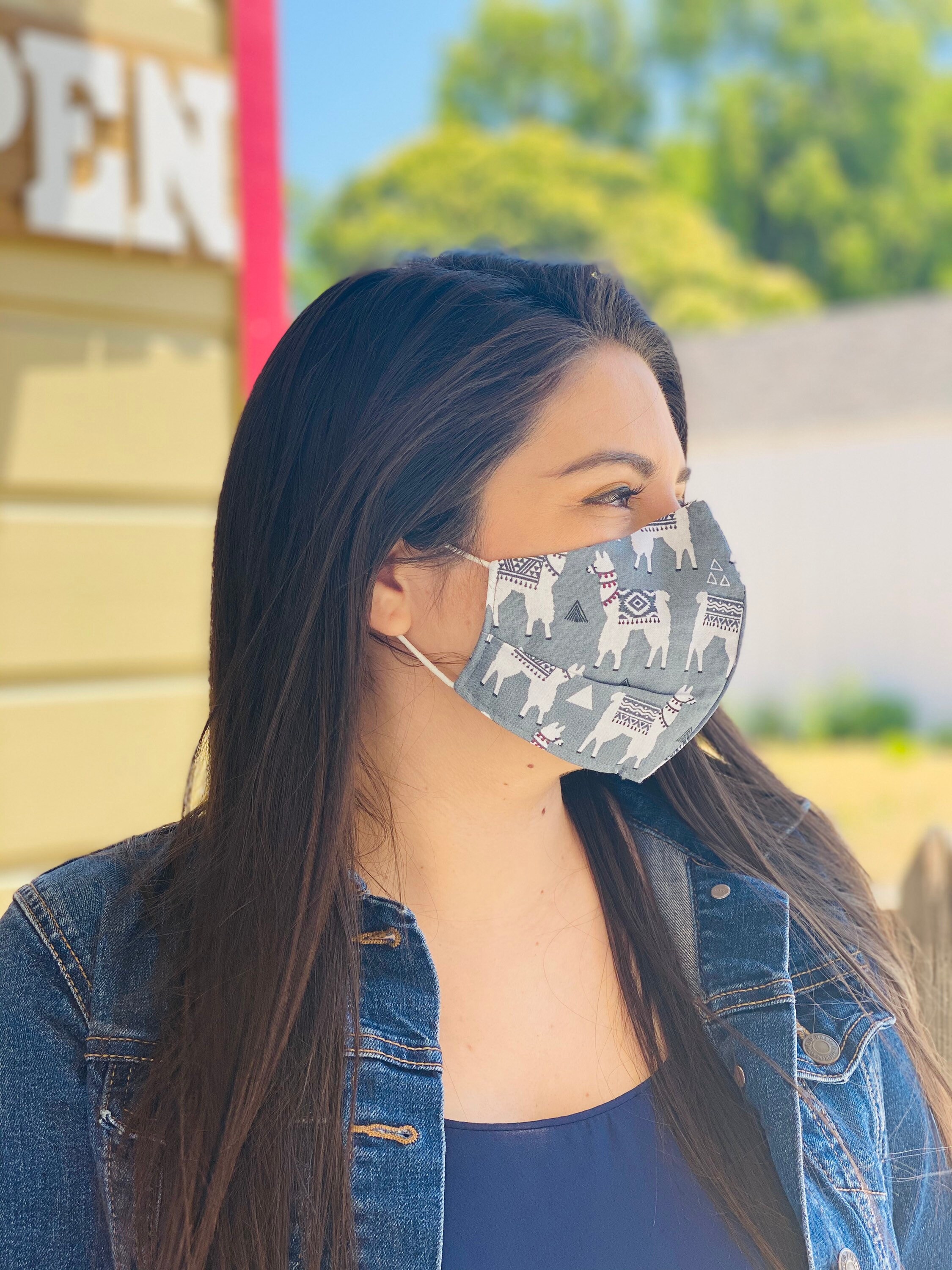 Reusable Llama Face Mask with Nose Wire