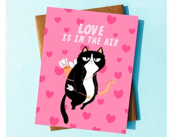 Funny Valentines Day Card Cat Card Sarcastic Valentine Galentines Gift Funny Galentines Day Card for Best Friend Funny Anniversary Card