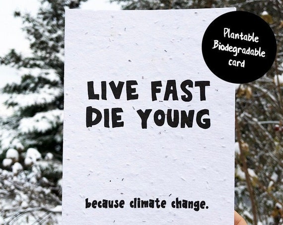 Live Fast Die Young