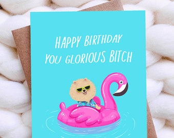 Glorious Birthday Card Funny Best Friend Birthday Card Boyfriend Girlfriend Birthday Dog Lover Gift 30th 40th 50th Funny Birthday Gift