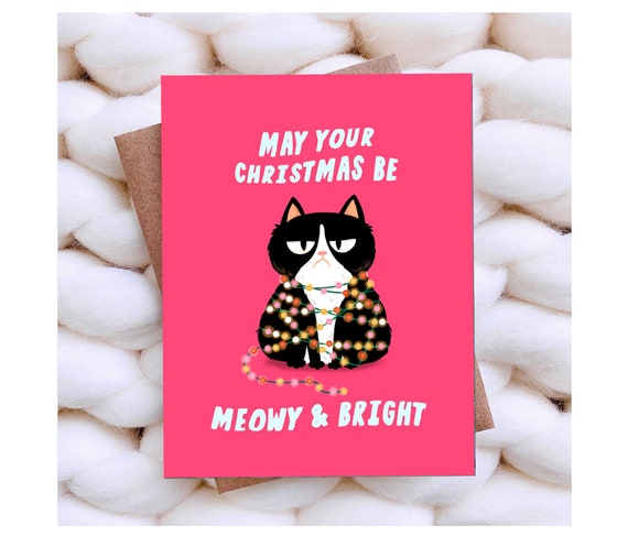 Meowy & Bright