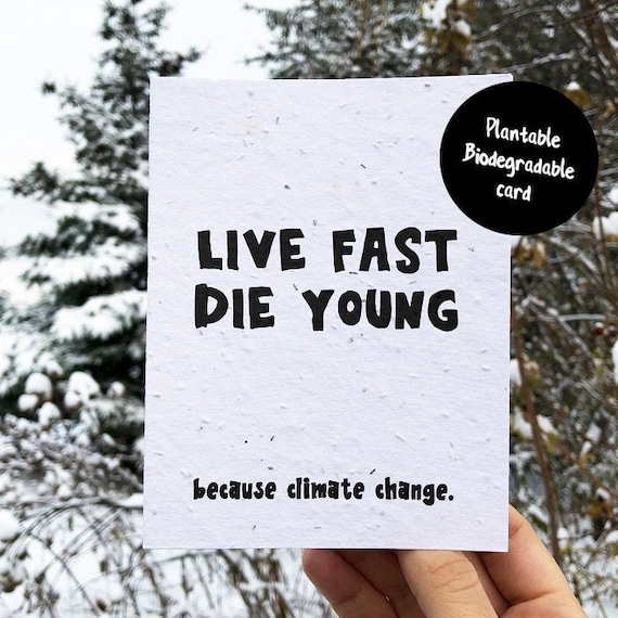 Live Fast Die Young