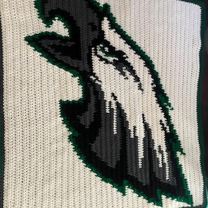 May include: A handmade crochet blanket featuring the Philadelphia Eagles logo. The blanket has a white background with the team's eagle head logo in black, gray, and green. The border is green.