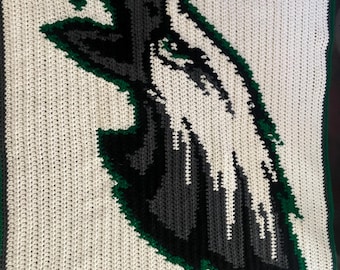 Philadelphia Eagles GRAPH & WRITTEN Pattern - Baby Blanket