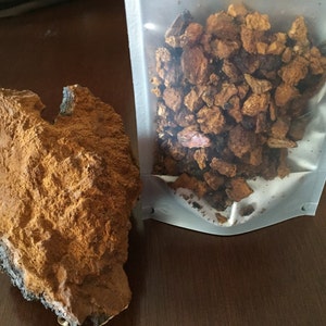 Wild Alaskan Chaga 1 lb. medicinal mushroom image 3