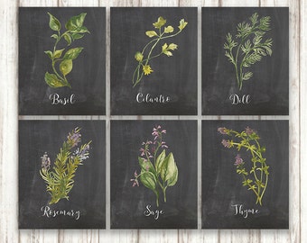 Botanical Print Set Collection, Botanical Printable, Botanical Prints, Herb Printable, Botanical Herb Sets, Chalkboard Botanical Art