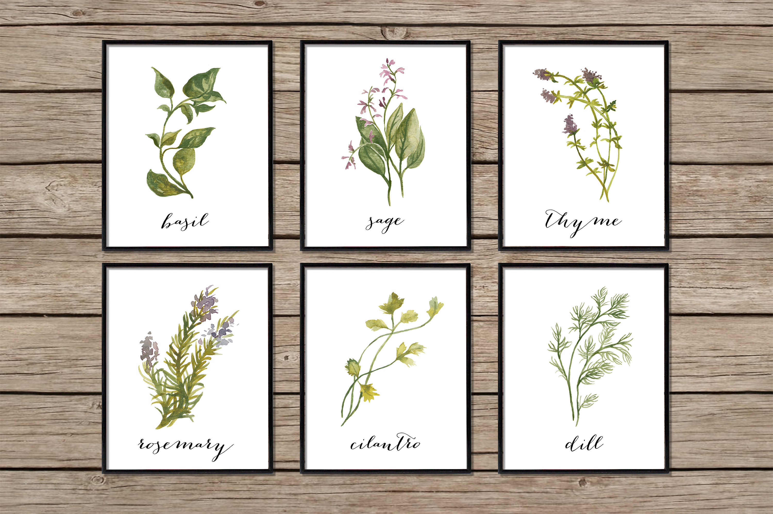 Herb Print Set Botanical Print Set Botanical Prints Herb - Etsy