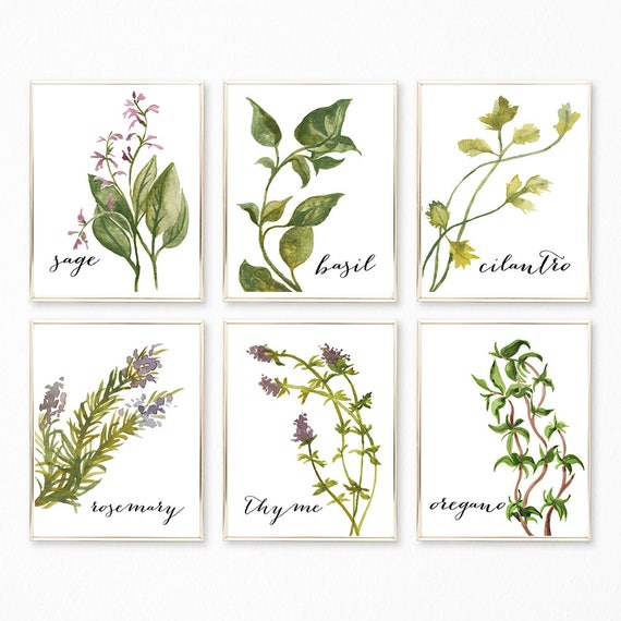 Botanical Herb Print Botanical Print Botanical Art Herb | Etsy