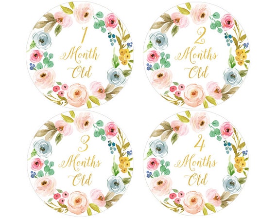 Baby Monthly Milestone Stickers Baby Girl Month Stickers Deer Antler Floral
