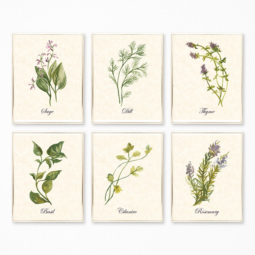 Botanical Print Botanical Print Sets Herb Prints Herb - Etsy