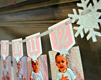 Winter ONEderland Photo Banner. Winter ONEderland. 12 Month Photo Banner. Frozen First Birthday. Winter Wonderland Birthday.
