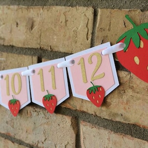 Strawberry First Birthday Photo Banner. 12 Month Photo Banner. First Birthday Photo Banner. Strawberry First Birthday. Berry First Birthday.