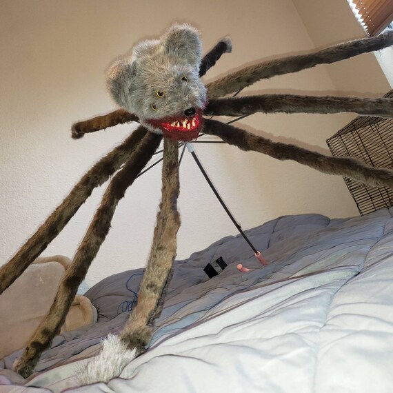 spider teddy