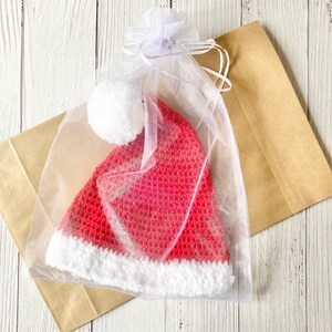 May include: A red and white crocheted Santa hat with a white pom-pom, packaged in a clear organza bag and a brown paper envelope.