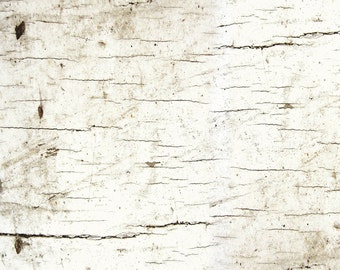 Cream Wood Texture Cotton Fabric from the Moose Lodge Collection by Henry Glass - Birch Bark Wood End of Bolt 12"x44"
