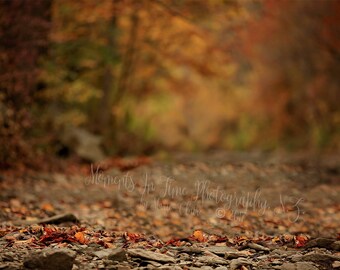 Autumn Forest Etsy - 