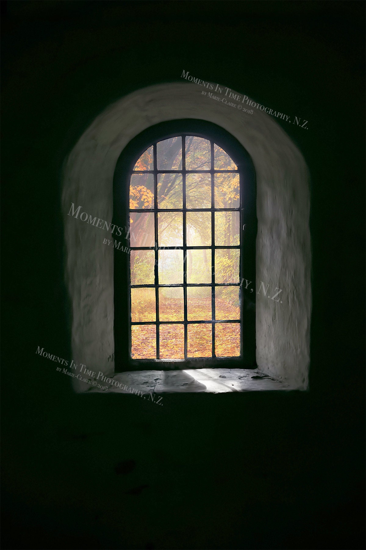 MIT Bay Window (2 for 1 Transparent Window and Window With Forest Scene ...