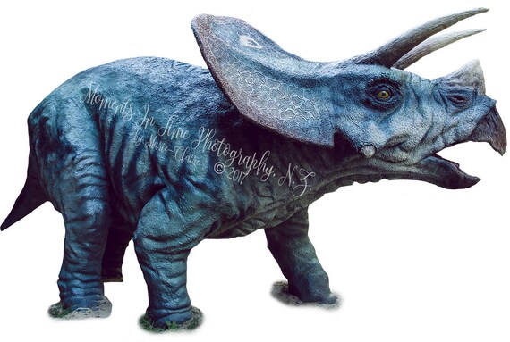 Superposition De Dinosaure Triceratops Mit Etsy