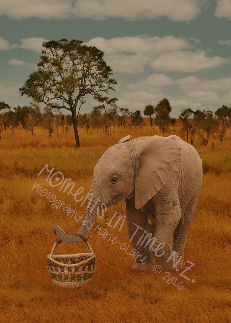 MIT Baby Elephant Carrying A Basket Digital Background image 1