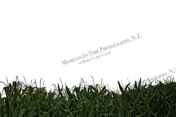 Background Grassland