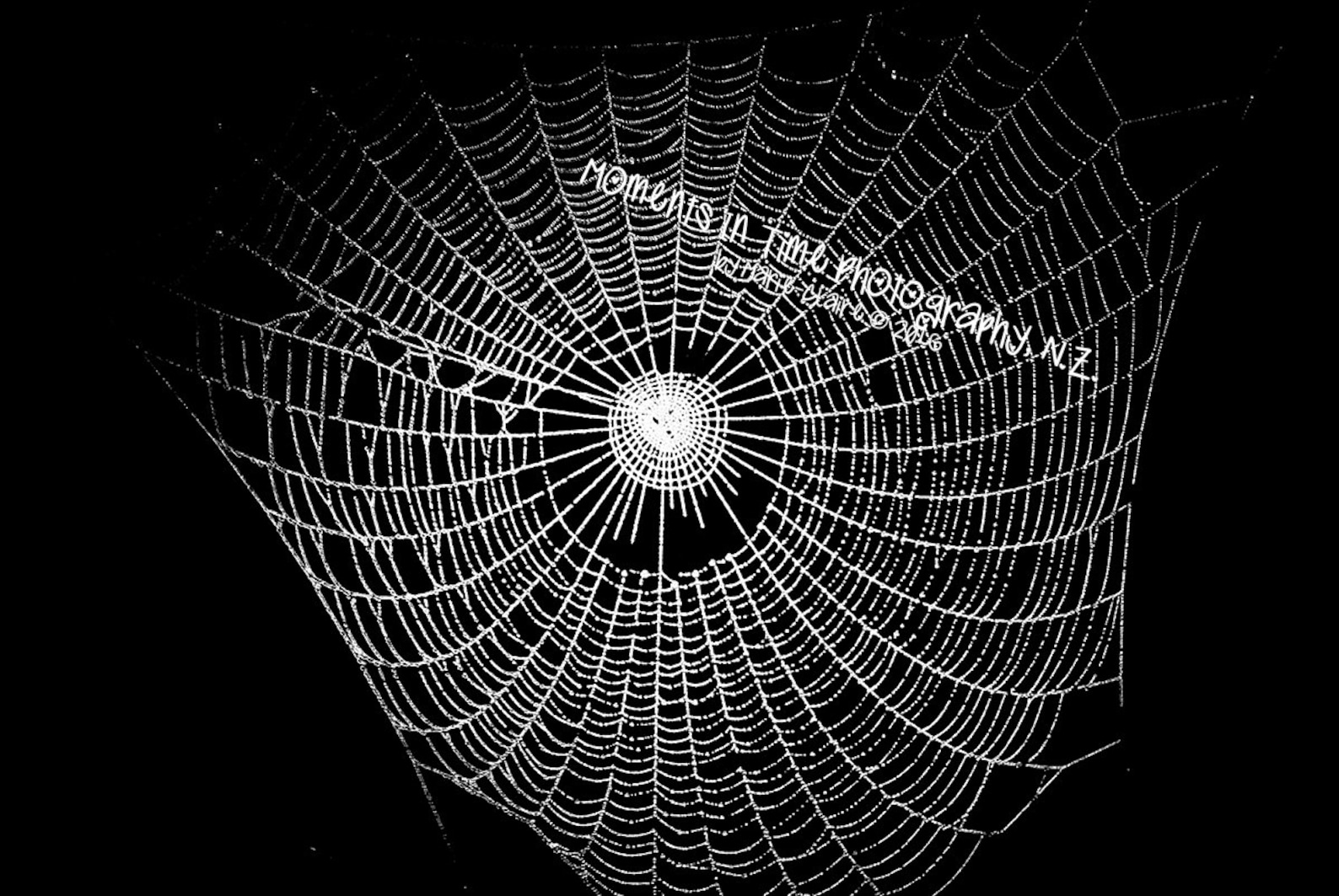 MIT 2x Spiderweb Overlay | Etsy