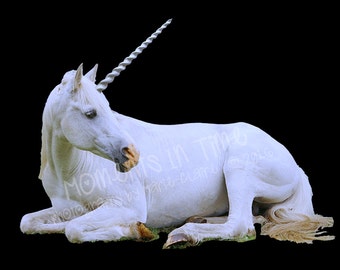 MIT Unicorn Animal Digital Overlay