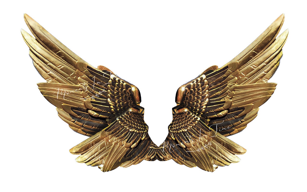 панно "крылья". крылья значок. красивые крылья. золотые ангельские крылья. металлические крылья 3d.