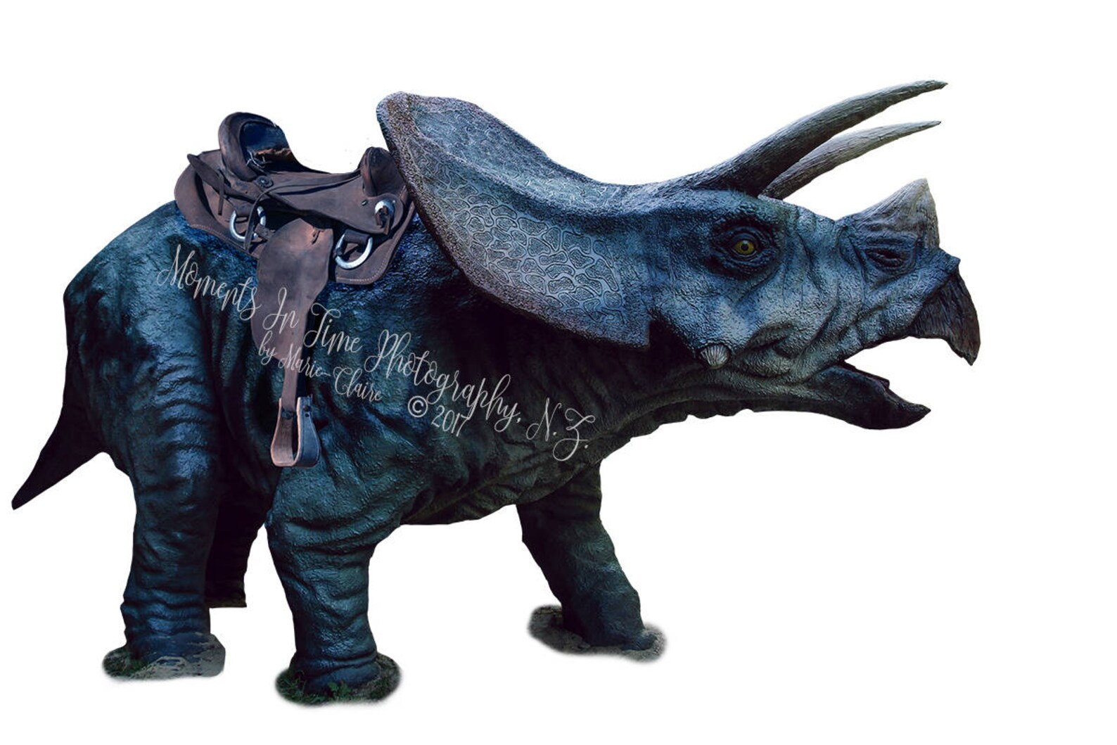 MIT Triceratops Dinosaur With Saddle Digital Overlay Etsy