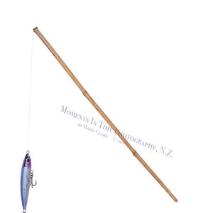 MIT Bamboo Fishing Rod (2 for the price of one, pink and blue)