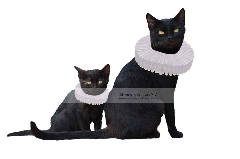 MIT Black Cat and Kitten With Ruffled Collars Etsy