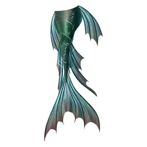 Zac in merman form  Mako mermaids, Fin fun mermaid, Silicone mermaid tails