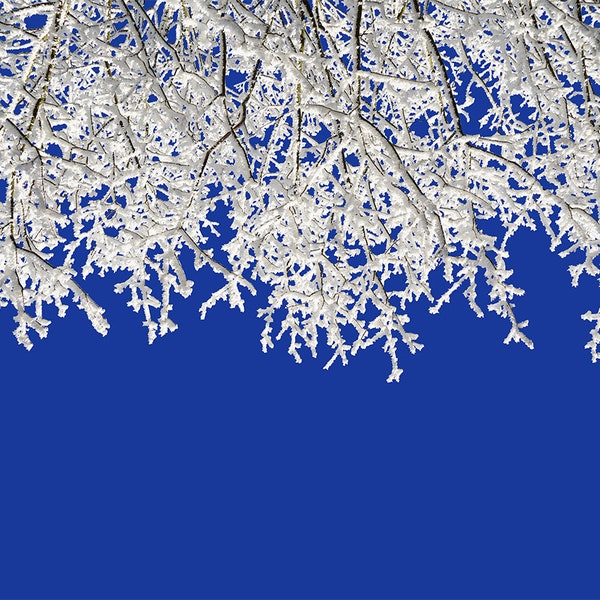 MIT Snowy Branches Digital Overlay