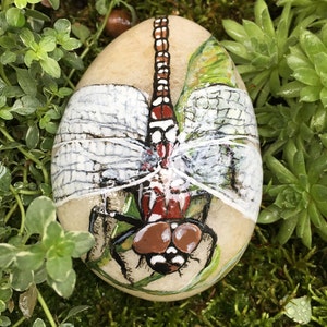 Hand Painted Dragonfly Stone