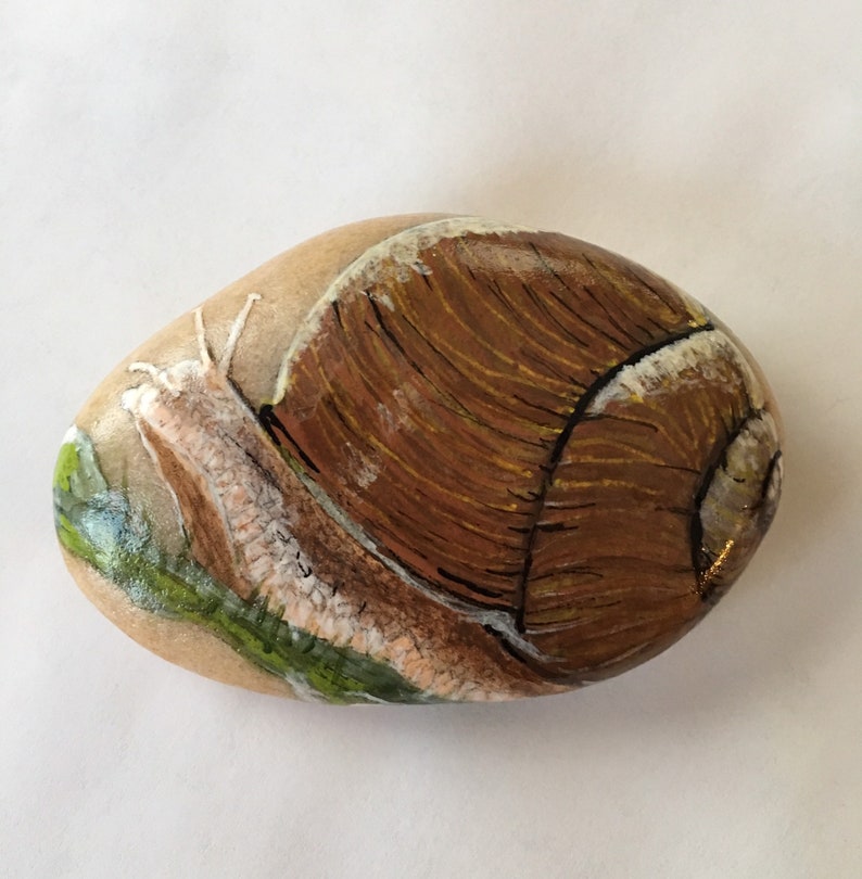Hand Painted Garden Snail Stone Etsy