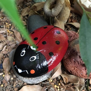Hand Painted Cute Red Ladybug Stone