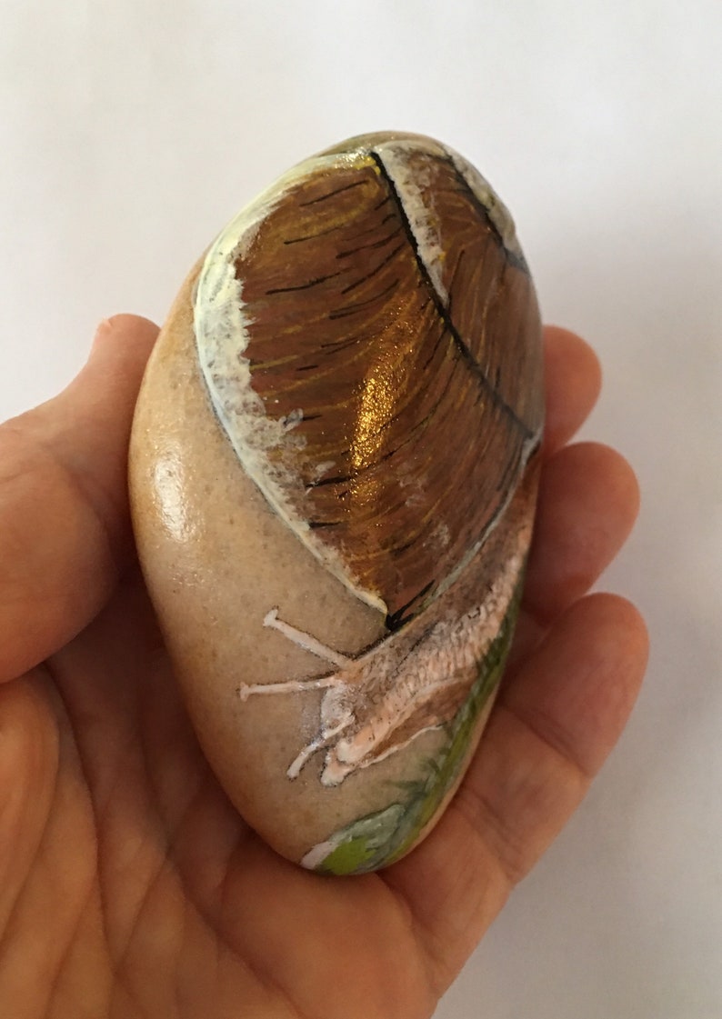 Hand Painted Garden Snail Stone Etsy