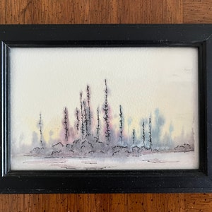 Maine Woods