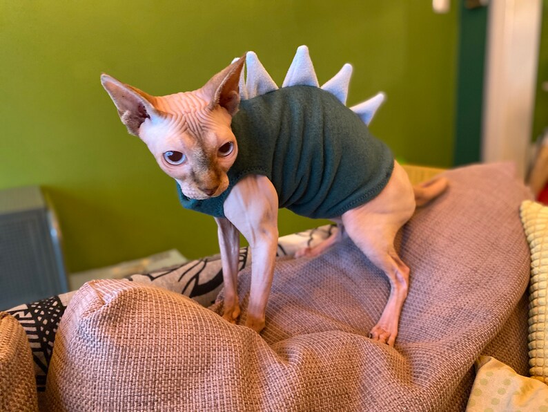 Sphynx Cat Body Sweater Dragon Fleece Petrol/babyblue Etsy