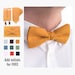 see more listings in the Ties, Bow Ties section