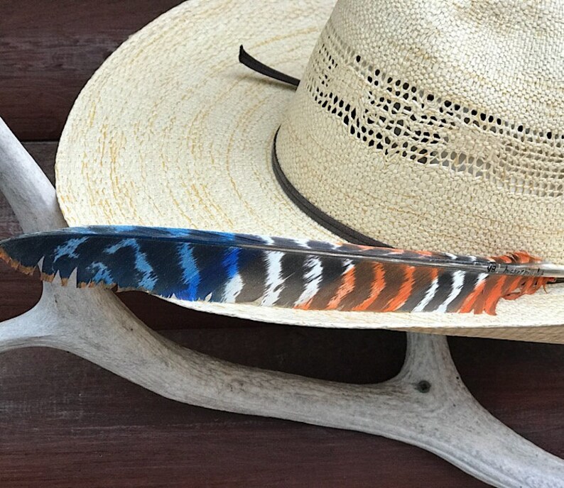 sealed art Cowboy hat feathers 