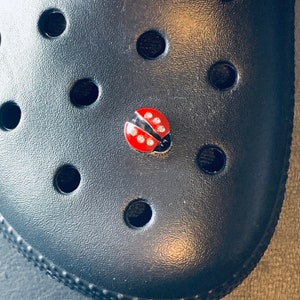 May include: A black rubber shoe with a red and black ladybug charm. The shoe has multiple round holes.