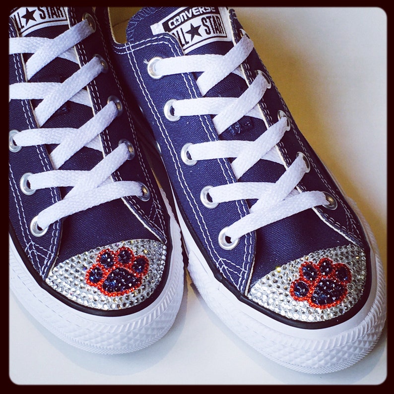 converse chien converse chien