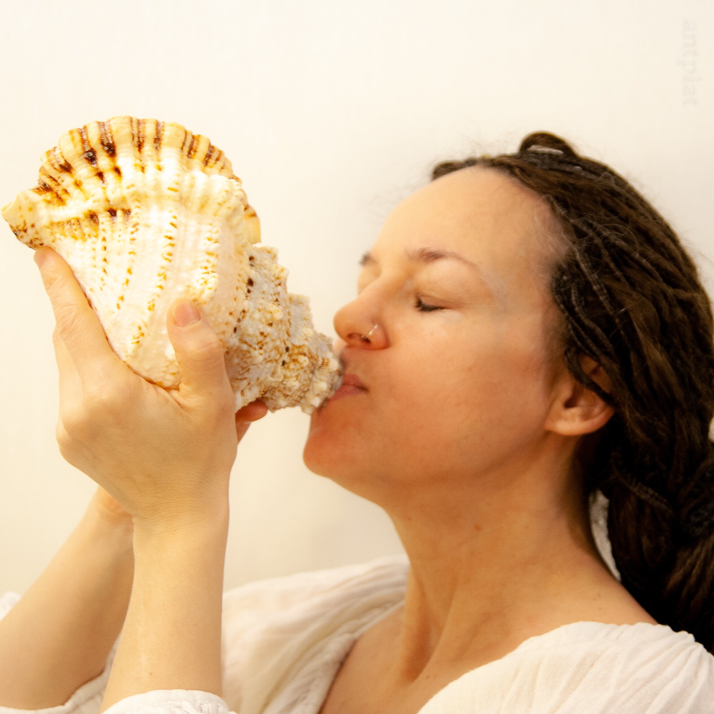 Человек ракушка фото